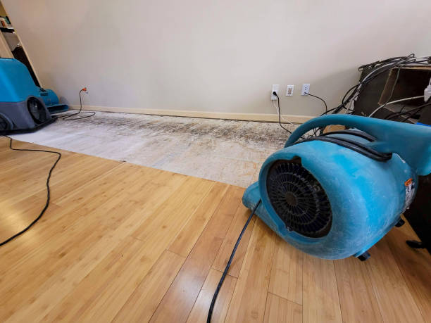 Professional Structural Drying technician working in Fullerton, NE
